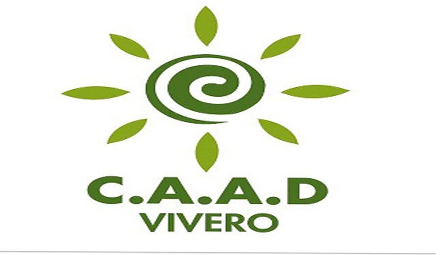Taller Vivero