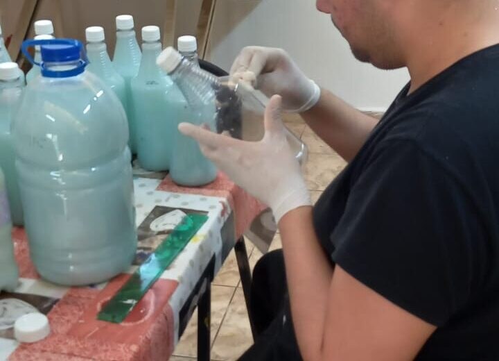 Taller de Aromas Naturales